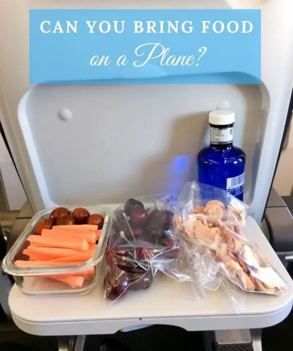 what-food-can-you-bring-on-plane-discover-the-best-travel-snacks-that