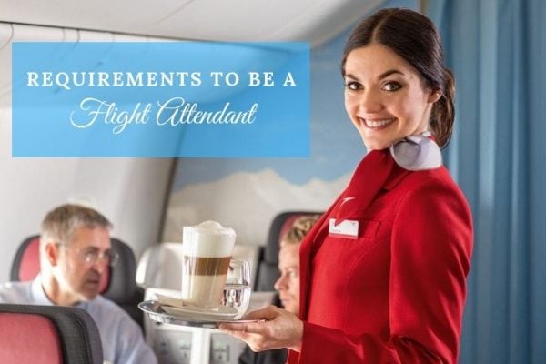 what are the education requirements to be a flight attendant