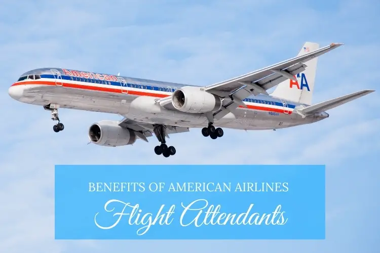 american-airlines-flight-attendants-benefits-an-inside-look