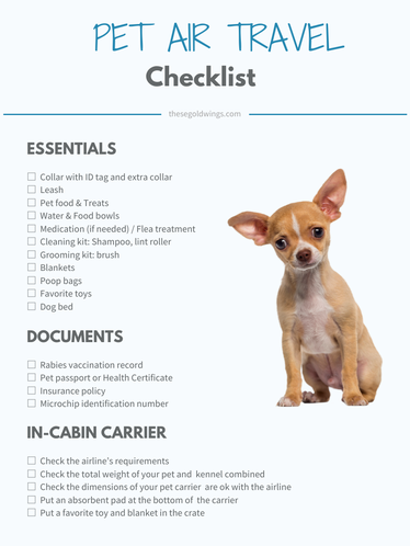 what documents do i need to fly with my dog